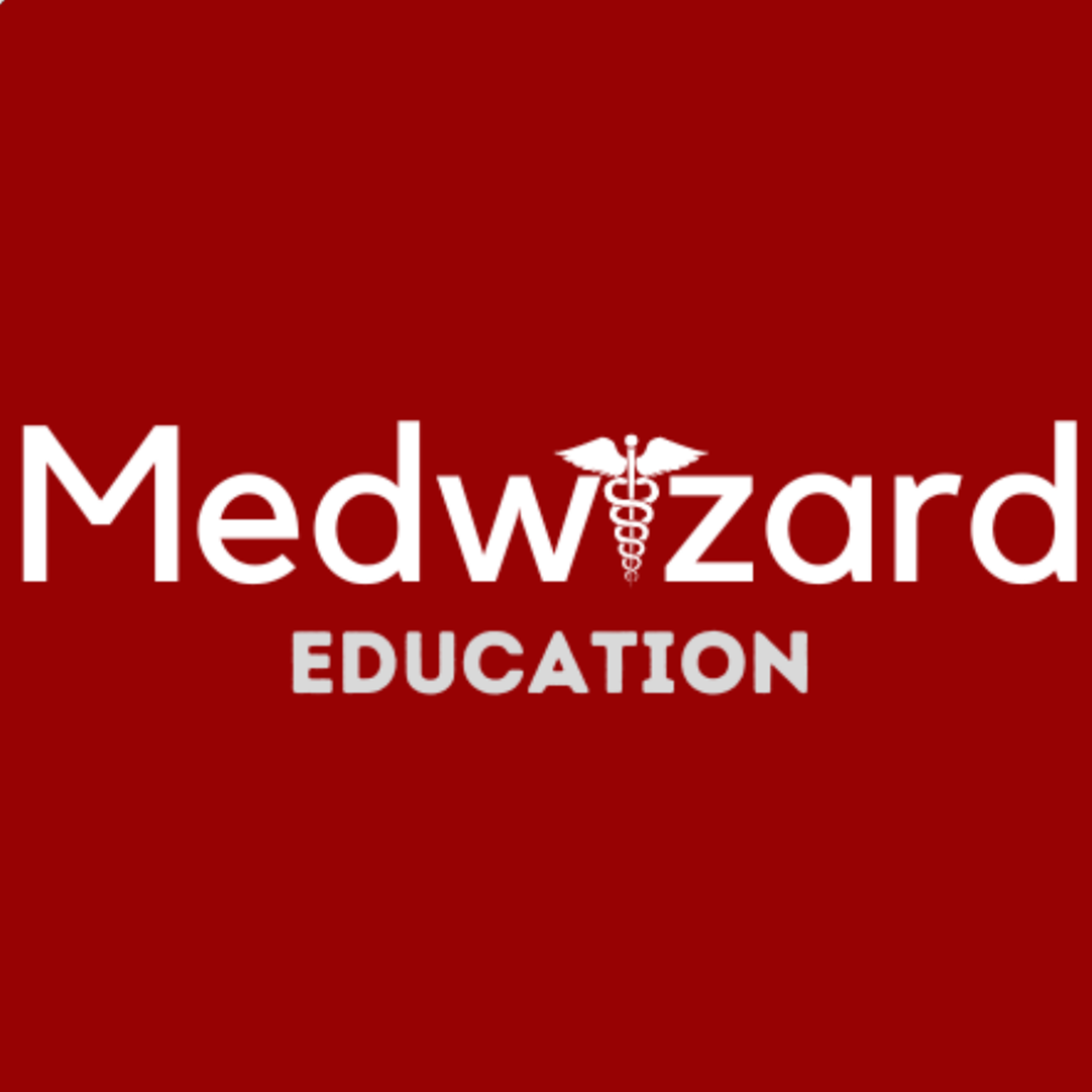 https://www.medventuregroup.com/wp-content/uploads/2025/10/medwizard.png